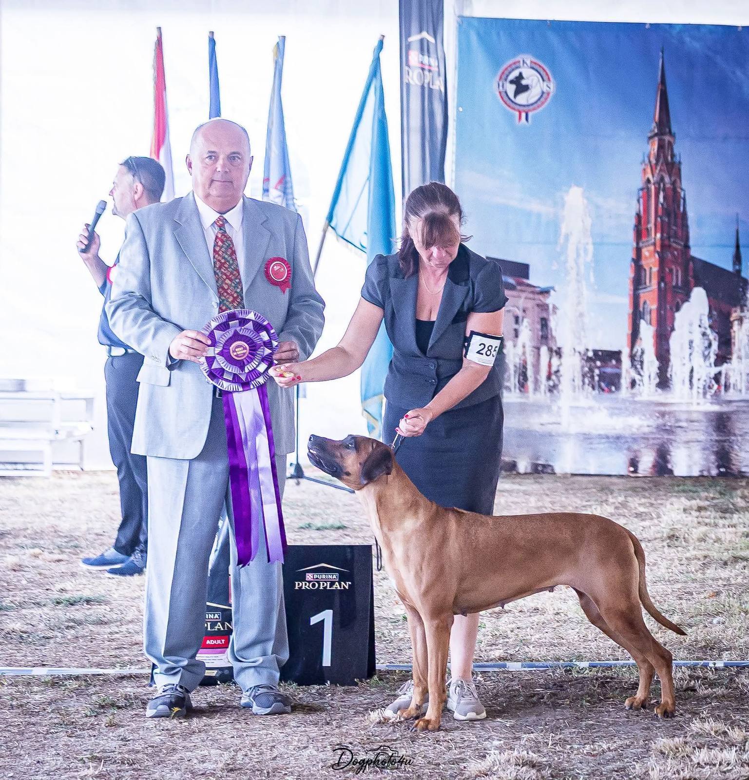 Rhodéský ridgeback Arte Cassari s ocenením na výstave Slavonia Dog Shows 2026