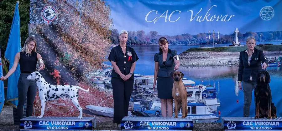 Rhodéský ridgeback Arte Cassari na pódiu Best of Group, CAC Vukovar 2026
