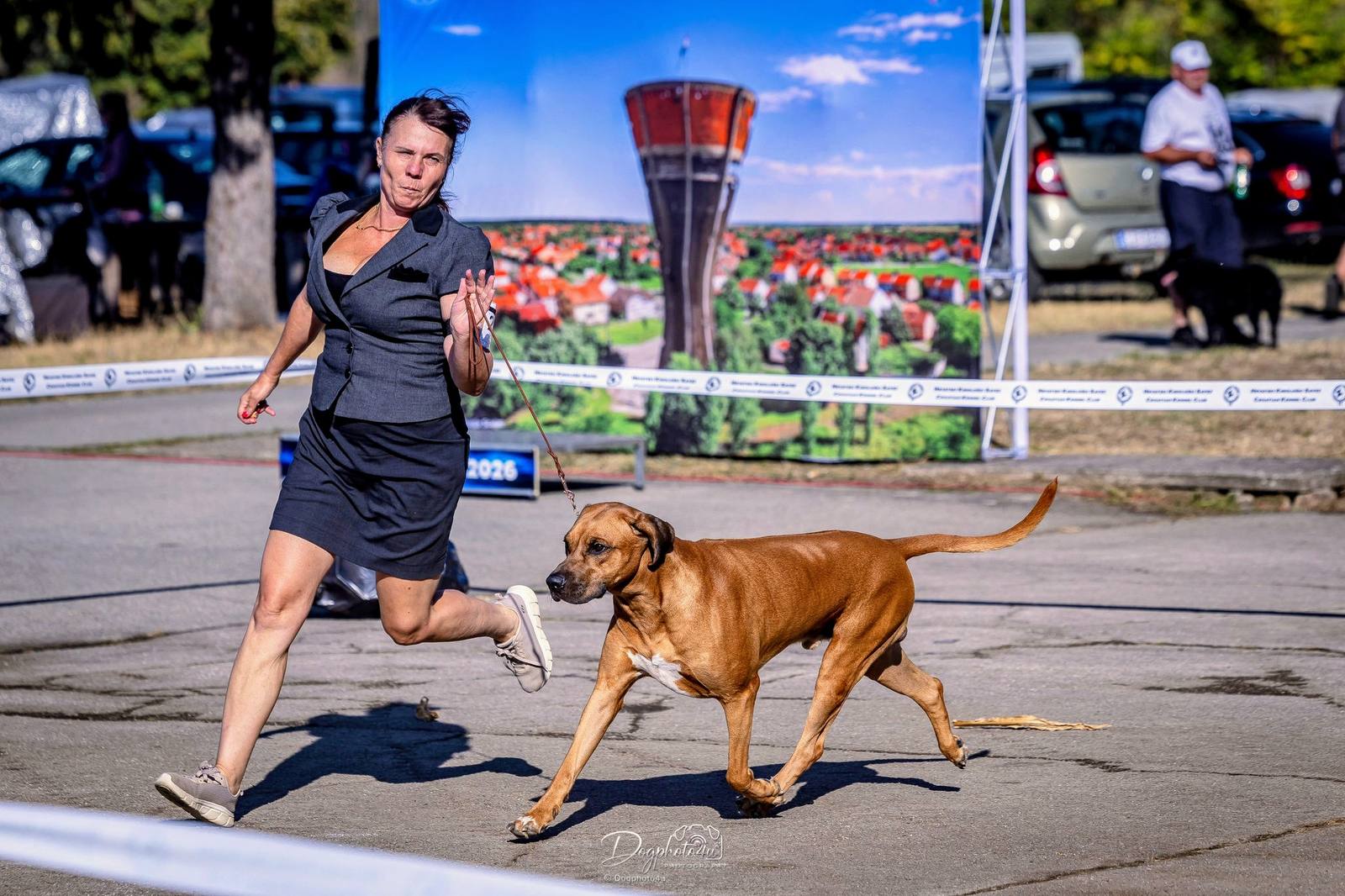 Rhodéský ridgeback Arte Cassari na plnej rýchlosti, Slavonia Dog Shows 2026